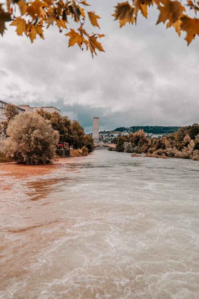 Photo by Claudio Schwarz body of water near trees during daytime