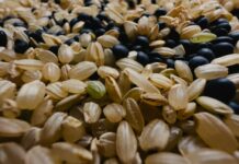 바쁜 직장인을 위한 건강한 식사 준비법 a close up of a bunch of grains