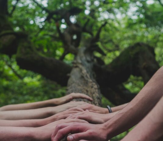커뮤니티 형성에 도움이 되는 ,신체활동의 역할 a group of people holding hands on top of a tree