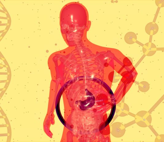 “물만 마셔도 배가 더부룩해요”… 숨은 위의 경고, ‘기능성 소화불량’ a picture of a human body with a diagram of the human body