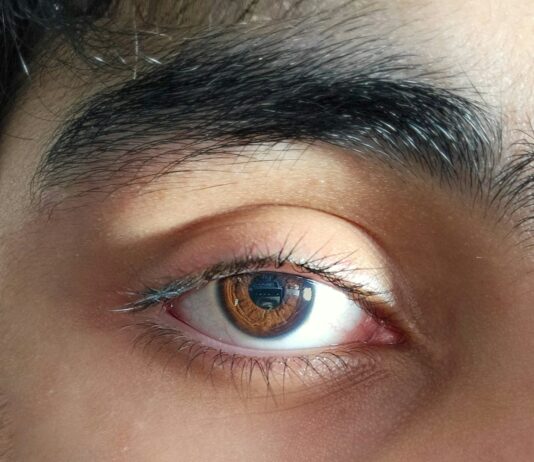 “눈이 건조하고, 초점이 흐려요”… 디지털 시대의 ‘안구 피로’ 대처법 Close-up photo of a brown human eye.