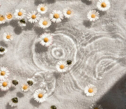 일상 속에서 즐기는 웰니스 문화, 어떻게 실천할까? white and blue floral textile