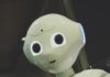 일상 속 건강 지킴이, AI가 알려주는 맞춤형 습관 white robot toy holding black tablet