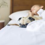 작지만 확실한 변화, 수면의 질을 높이는 실천법